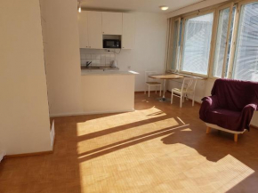 Home In Finland 2 (芬兰的家2)